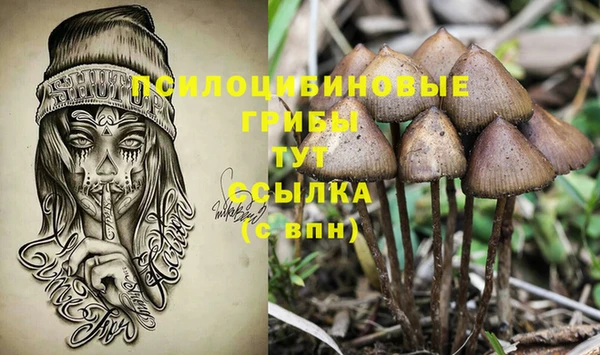 а пвп мука Алексин