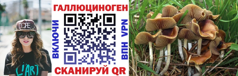 hydra онион  Батайск  Псилоцибиновые грибы мухоморы 
