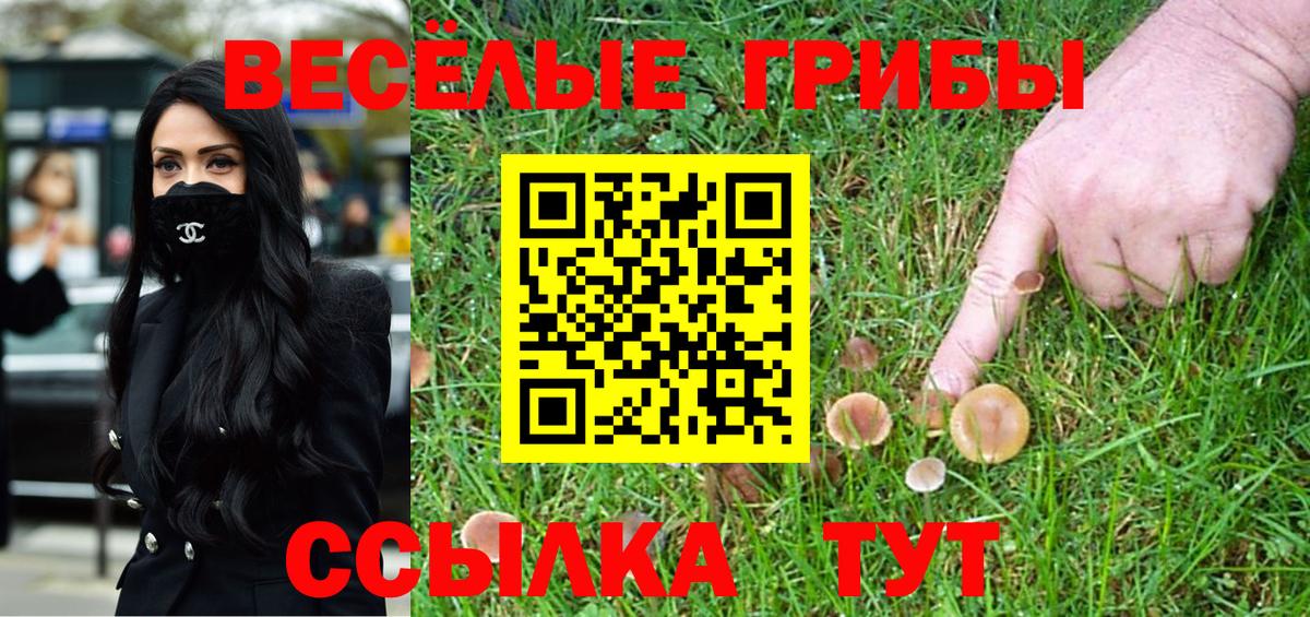 Батайск  Галлюциногенные грибы Psilocybe  Вход с VPN 